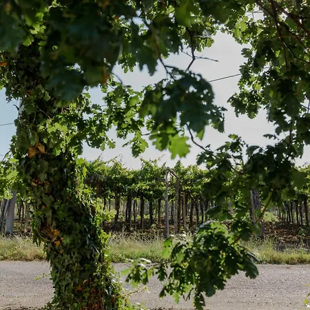 Bed & Breakfast La Ciammaruca Pollutri