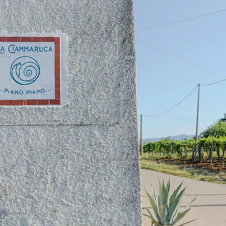 לינה וארוחת בוקר La Ciammaruca Pollutri