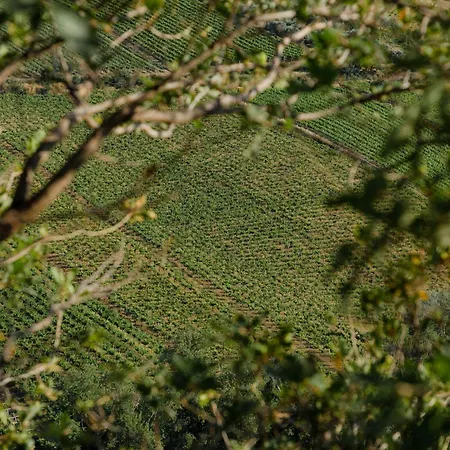 La Ciammaruca Bed & Breakfast