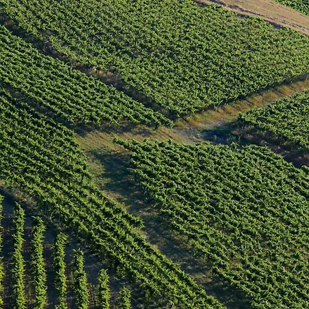 Bed & Breakfast La Ciammaruca 3*