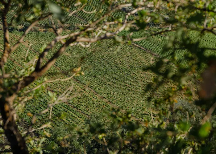 La Ciammaruca Oda ve Kahvaltı