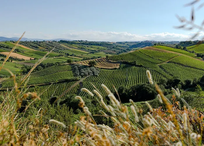 La Ciammaruca Oda ve Kahvaltı 3*