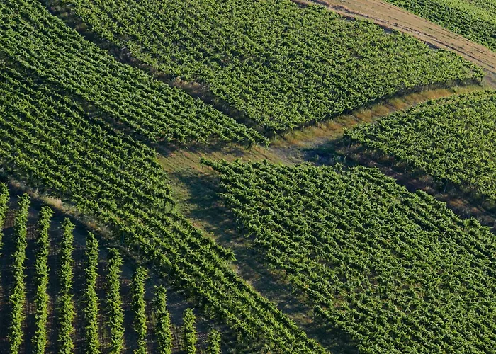Oda ve Kahvaltı La Ciammaruca 3*